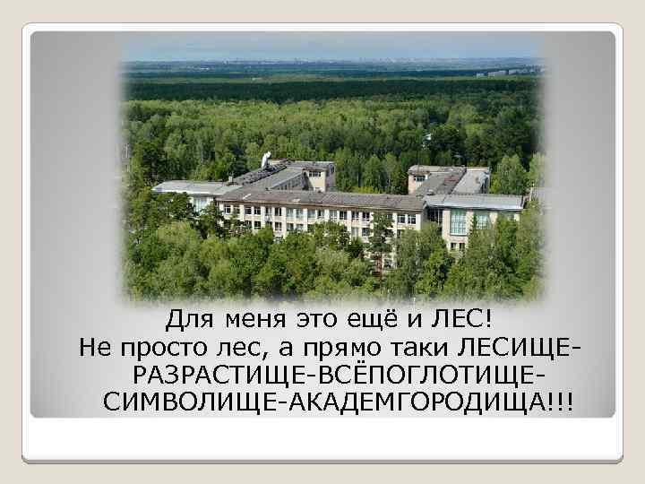Для меня это ещё и ЛЕС! Не просто лес, а прямо таки ЛЕСИЩЕРАЗРАСТИЩЕ-ВСЁПОГЛОТИЩЕСИМВОЛИЩЕ-АКАДЕМГОРОДИЩА!!! 