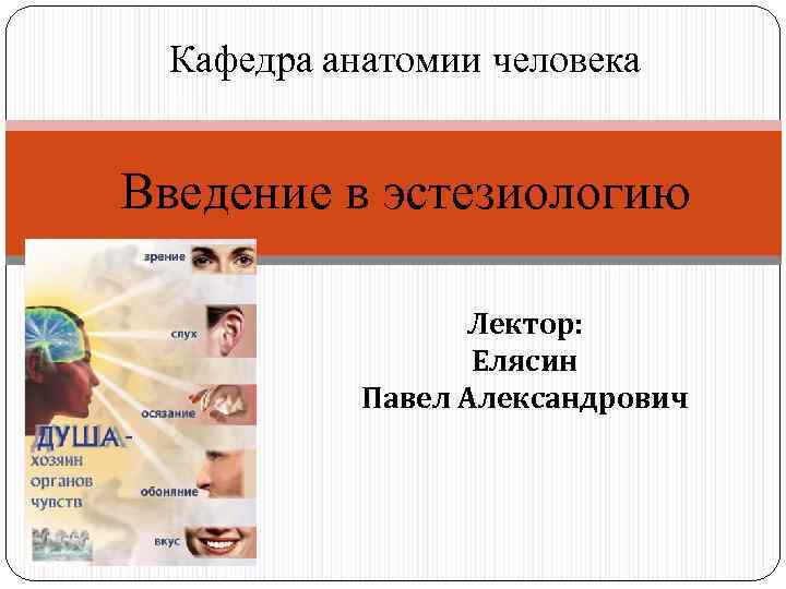 Кафедра анатомии человека Введение в эстезиологию Лектор: Елясин Павел Александрович 