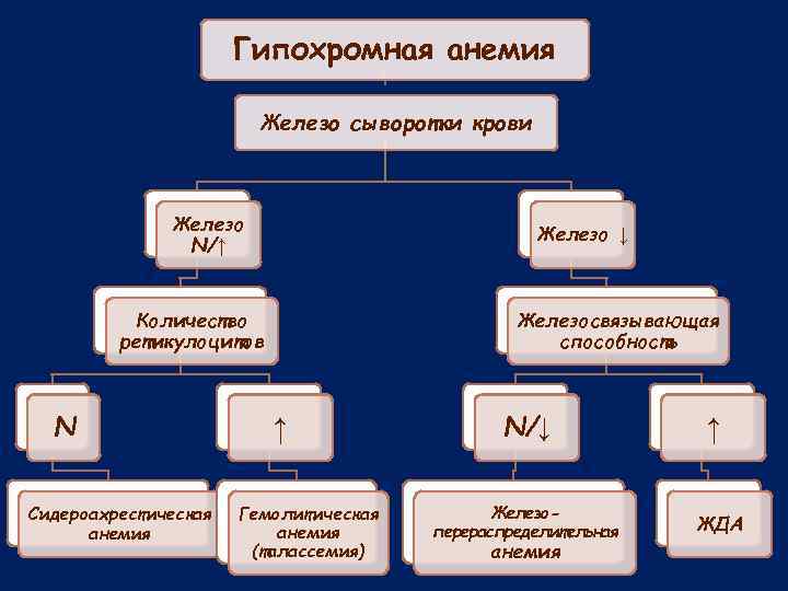 Гипохромная анемия Железо сыворотки крови Железо N/↑ Железо ↓ Количество ретикулоцитов N Сидероахрестическая анемия