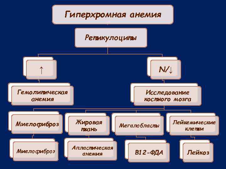 Гиперхромная анемия Ретикулоциты ↑ N/↓ Гемолитическая анемия Исследование костного мозга Миелофиброз Жировая ткань Апластическая