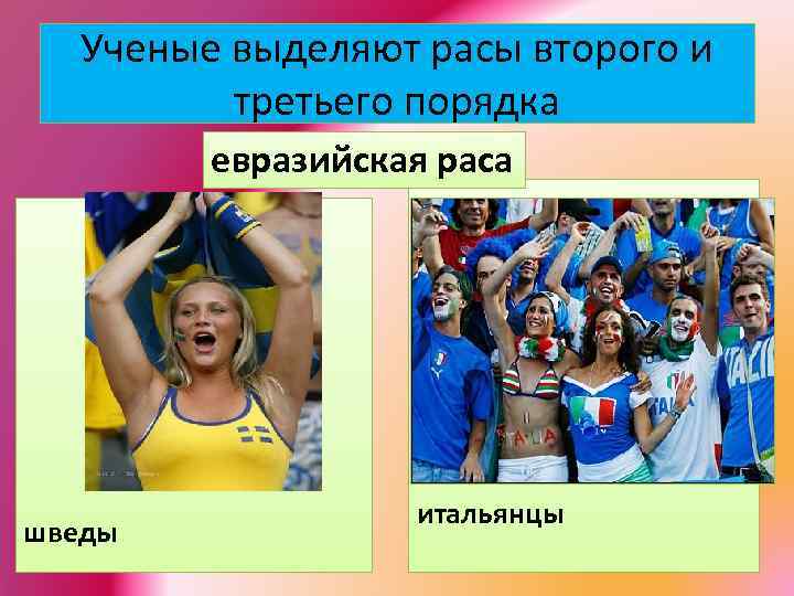 Ученые выделяют расы второго и третьего порядка евразийская раса шведы итальянцы 