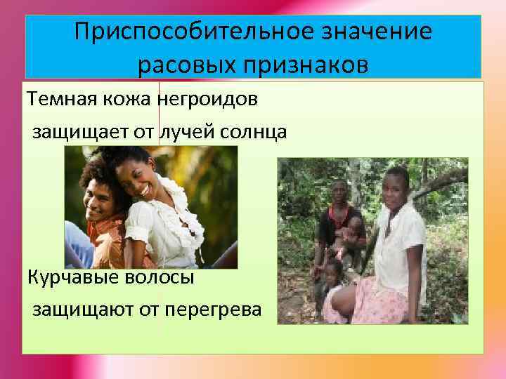 Приспособительное значение расовых признаков Темная кожа негроидов защищает от лучей солнца Курчавые волосы защищают
