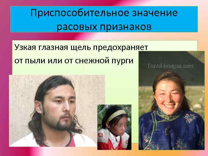 Приспособительное значение расовых признаков Узкая глазная щель предохраняет от пыли или от снежной пурги
