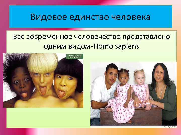 Видовое единство человека Все современное человечество представлено одним видом-Homo sapiens 