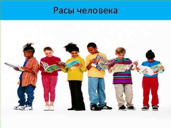 Расы человека 