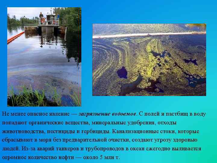Не менее опасное явление — загрязнение водоемов. С полей и пастбищ в воду попадают