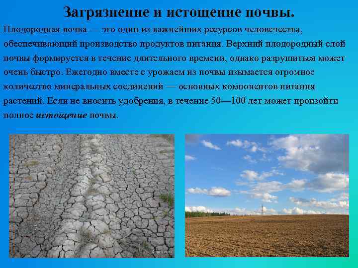 Загрязнение и истощение почвы. Плодородная почва — это один из важнейших ресурсов человечества, обеспечивающий