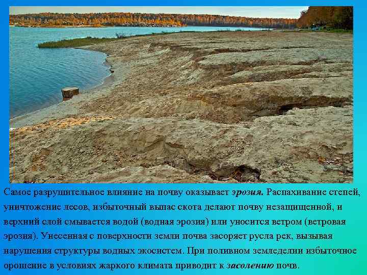 Самое разрушительное влияние на почву оказывает эрозия. Распахивание степей, уничтожение лесов, избыточный выпас скота