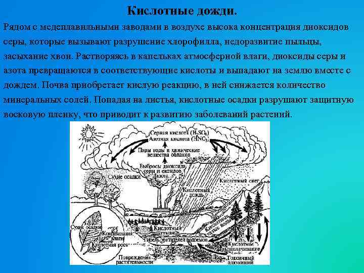Кислотные дожди. Рядом с медеплавильными заводами в воздухе высока концентрация диоксидов серы, которые вызывают