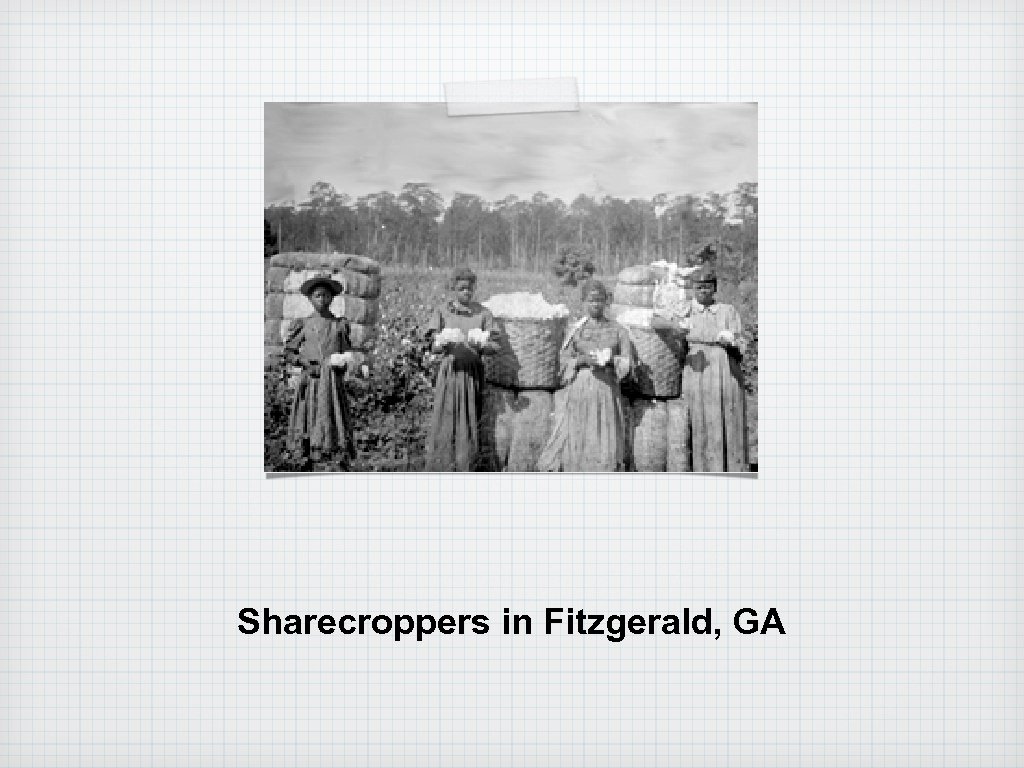 Sharecroppers in Fitzgerald, GA 