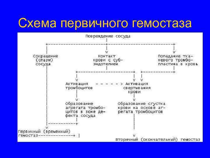 Схема первичного гемостаза 