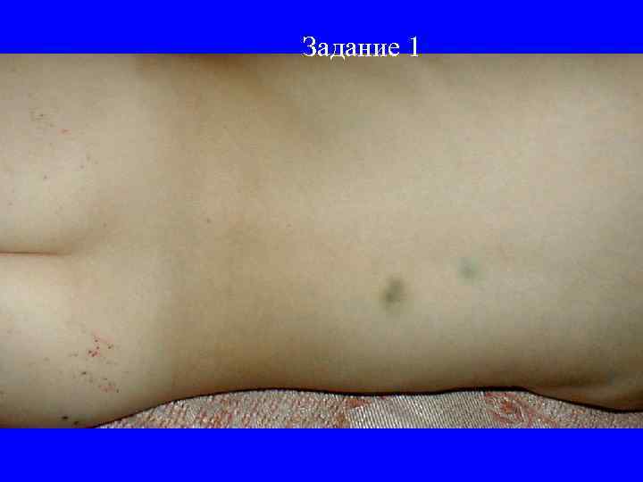 Задание 1 