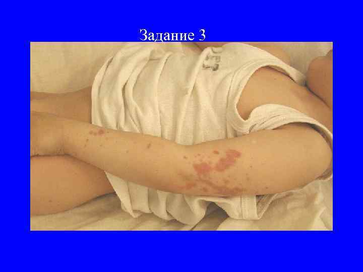 Задание 3 