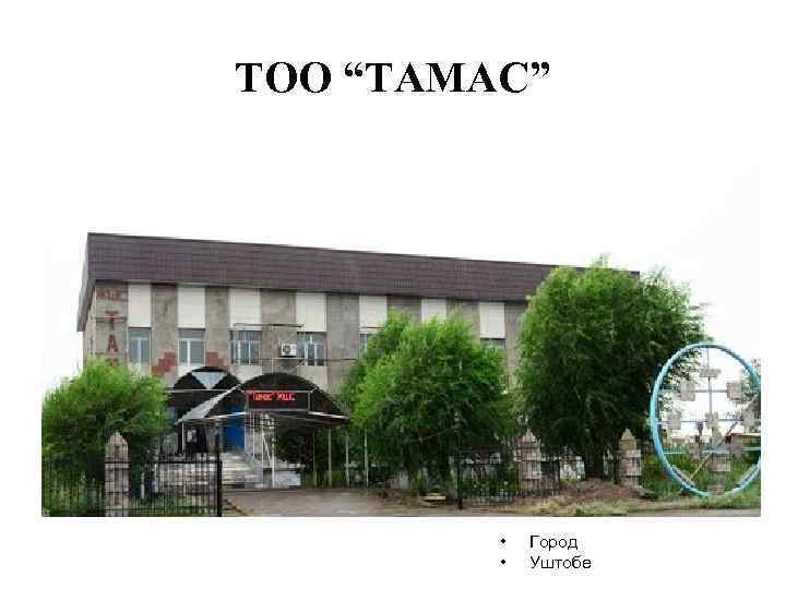 ТОО “ТАМАС” • • Город Уштобе 