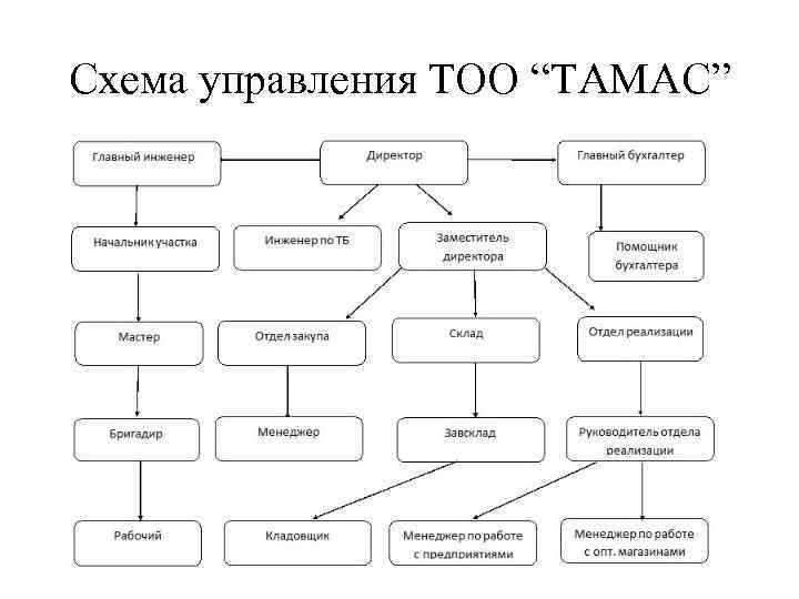 Схема управления ТОО “ТАМАС” 