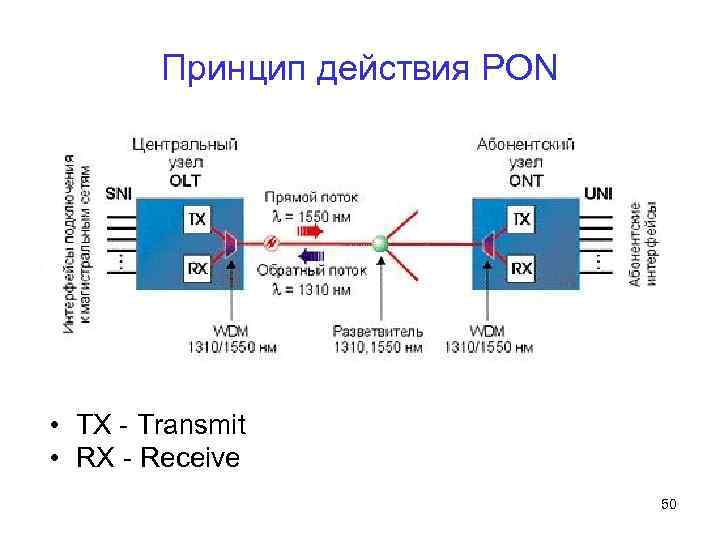 Принцип действия PON • TX - Transmit • RX - Receive 50 