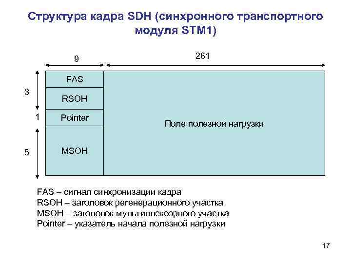 Формат модуля. Формирование синхронного транспортного модуля STM-1. Структура потока STM-1. Структура кадра STM-1. Структура модуля STM-1.