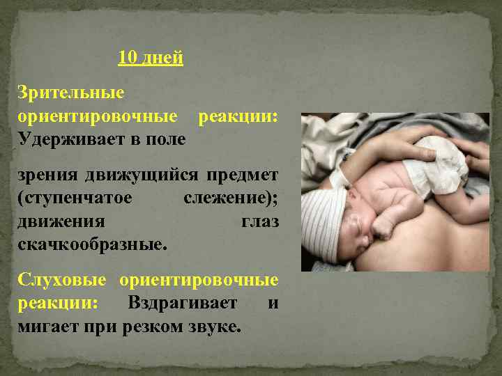 10 дней Зрительные ориентировочные реакции: Удерживает в поле зрения движущийся предмет (ступенчатое слежение); движения