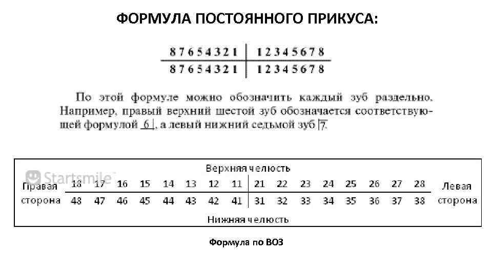 ФОРМУЛА ПОСТОЯННОГО ПРИКУСА: Формула по ВОЗ 