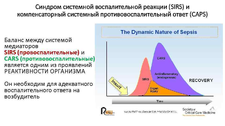 Синдром системной воспалительной реакции (SIRS) и компенсаторный системный противовоспалительный ответ (CAPS) Баланс между системой