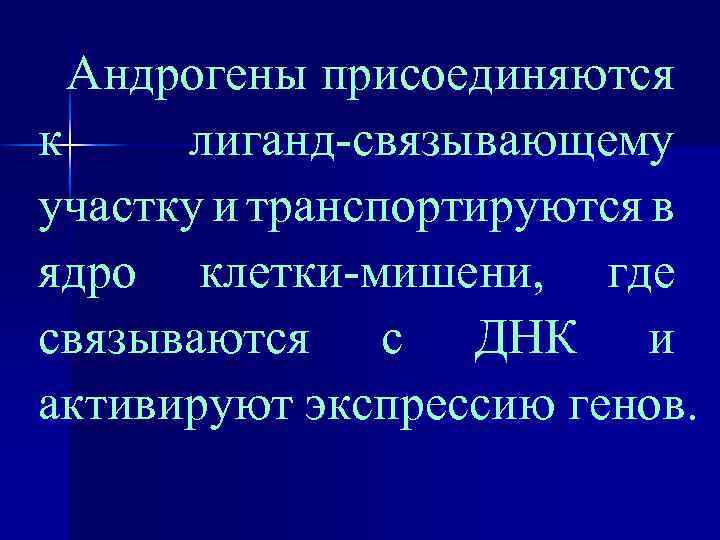 Андрогены присоединяются к лиганд-связывающему участку и транспортируются в ядро клетки-мишени, где связываются с ДНК