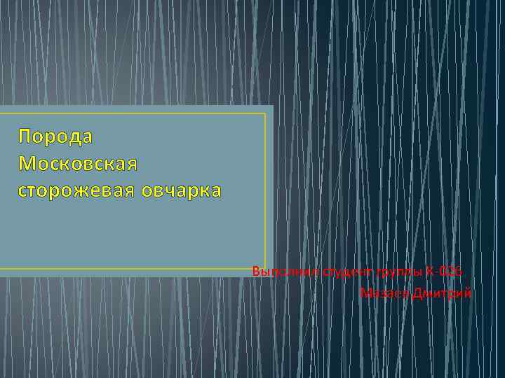 Порода Московская сторожевая овчарка Выполнил студент группы К-026 Мазаев Дмитрий 