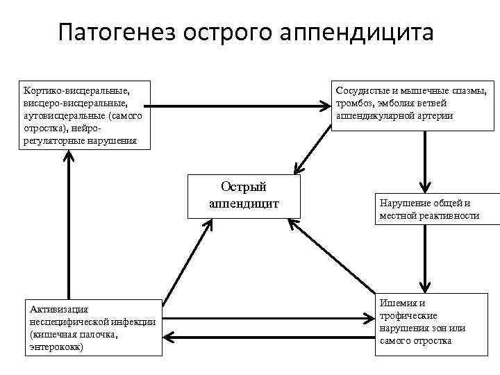 Патогенез острого аппендицита Кортико-висцеральные, висцеро-висцеральные, аутовисцеральные (самого отростка), нейрорегуляторные нарушения Сосудистые и мышечные спазмы,