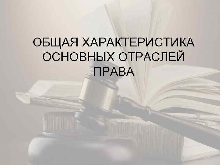 ОБЩАЯ ХАРАКТЕРИСТИКА ОСНОВНЫХ ОТРАСЛЕЙ ПРАВА 