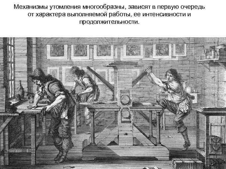 Механизмы утомления многообразны, зависят в первую очередь от характера выполняемой работы, ее интенсивности и