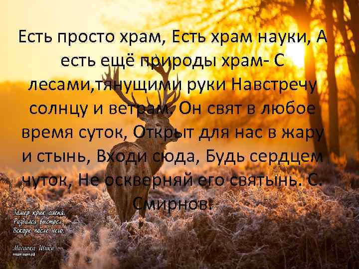 Есть просто храм, Есть храм науки, А есть ещё природы храм- С лесами, тянущими