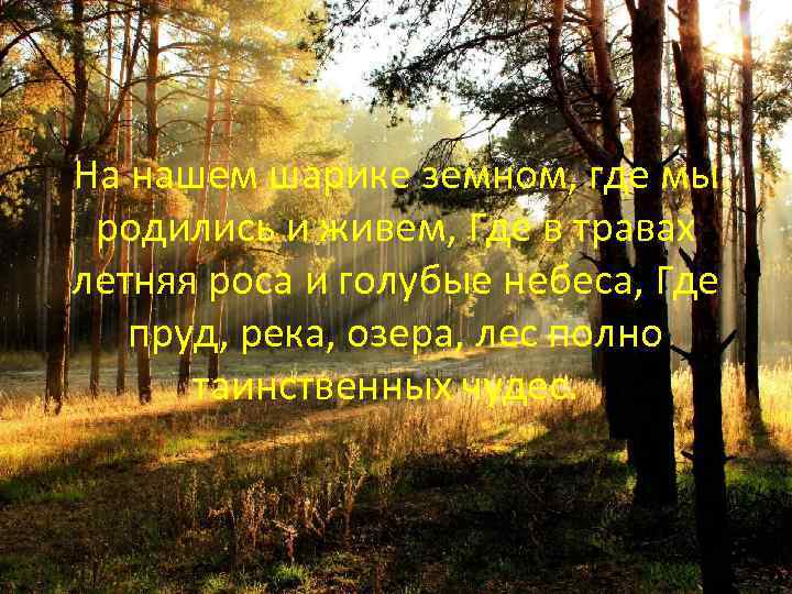 На нашем шарике земном, где мы родились и живем, Где в травах летняя роса