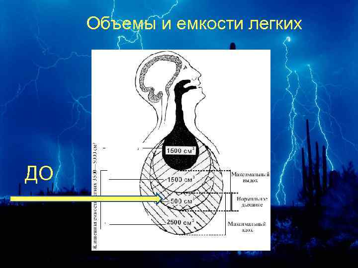 Объемы и емкости легких ДО 