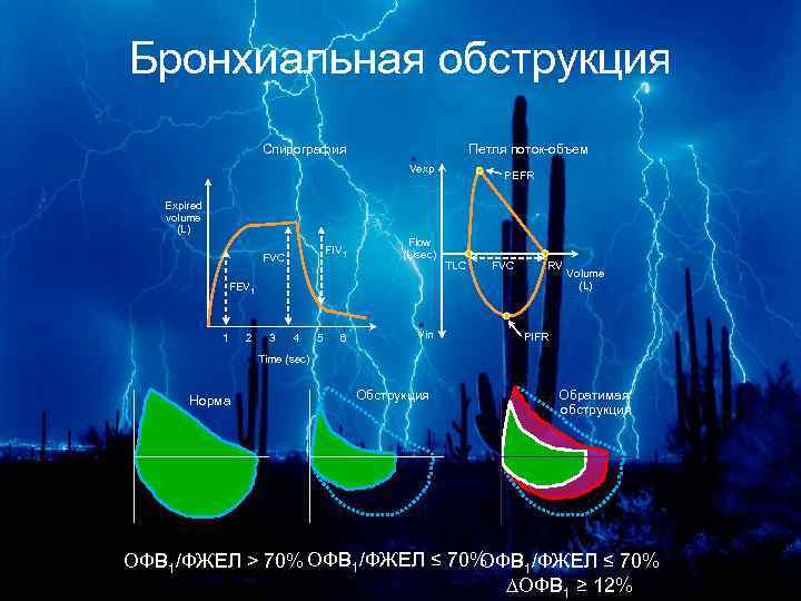 Бронхиальная обструкция Спирография Петля поток-объем Vexp PEFR Expired volume (L) FIV 1 FVC Flow