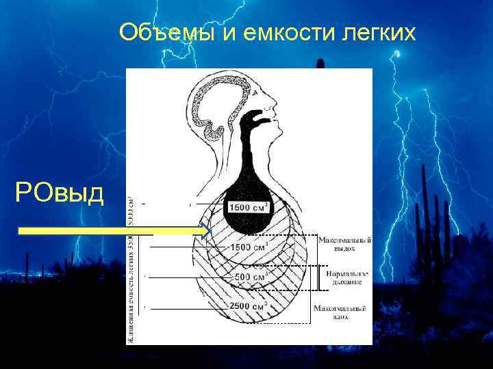 Объемы и емкости легких РОвыд 
