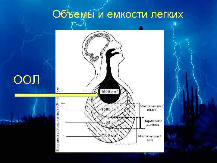 Объемы и емкости легких ООЛ 