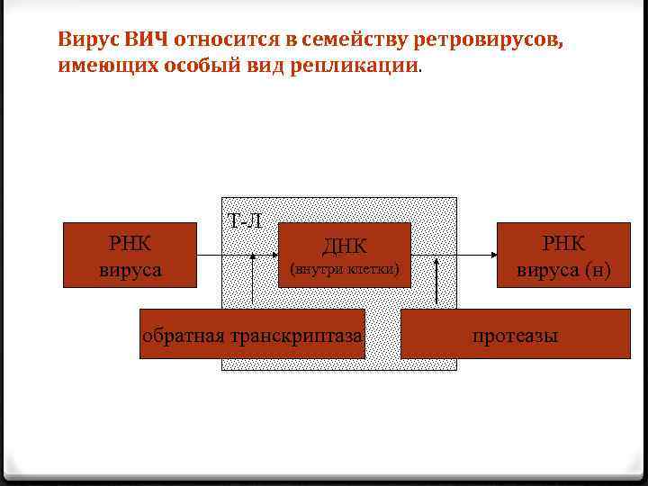 Вирус ВИЧ относится в семейству ретровирусов, имеющих особый вид репликации. РНК вируса Т-Л ДНК
