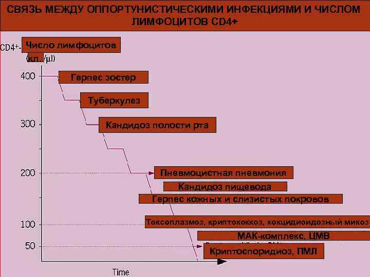 СВЯЗЬ МЕЖДУ ОППОРТУНИСТИЧЕСКИМИ ИНФЕКЦИЯМИ И ЧИСЛОМ ЛИМФОЦИТОВ CD 4+ Число лимфоцитов кл. Герпес зостер
