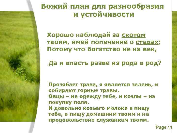 Божий план для разнообразия и устойчивости Хорошо наблюдай за скотом твоим, имей попечение о