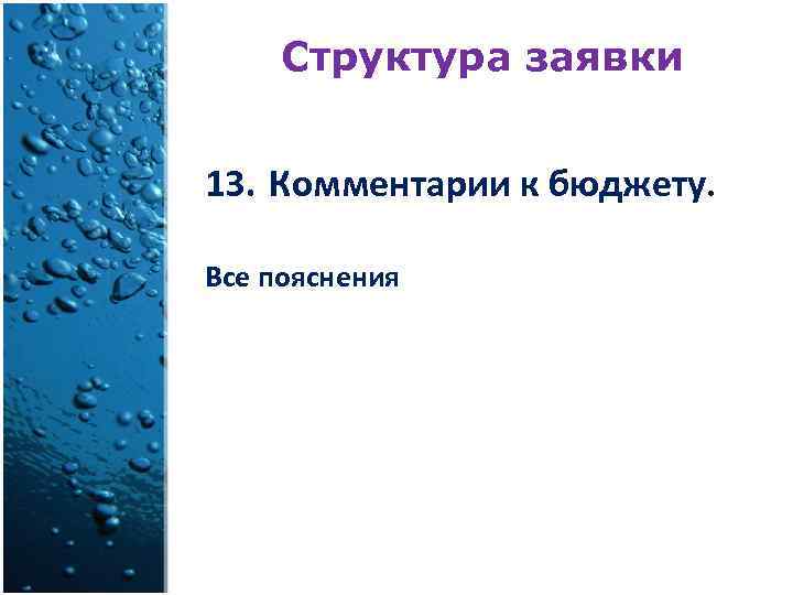 Структура заявки 13. Комментарии к бюджету. Все пояснения 