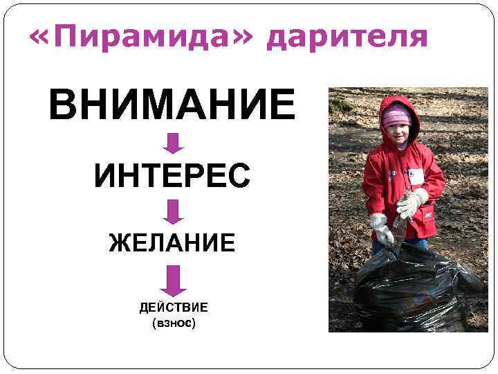  «Пирамида» дарителя ВНИМАНИЕ ИНТЕРЕС ЖЕЛАНИЕ ДЕЙСТВИЕ (взнос) 