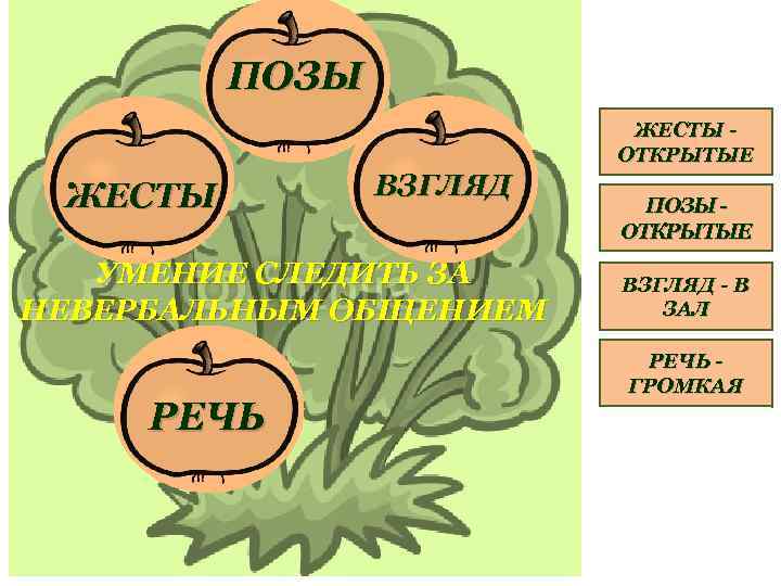 ПОЗЫ ЖЕСТЫ ОТКРЫТЫЕ ЖЕСТЫ ВЗГЛЯД УМЕНИЕ СЛЕДИТЬ ЗА НЕВЕРБАЛЬНЫМ ОБЩЕНИЕМ РЕЧЬ ПОЗЫ ОТКРЫТЫЕ ВЗГЛЯД
