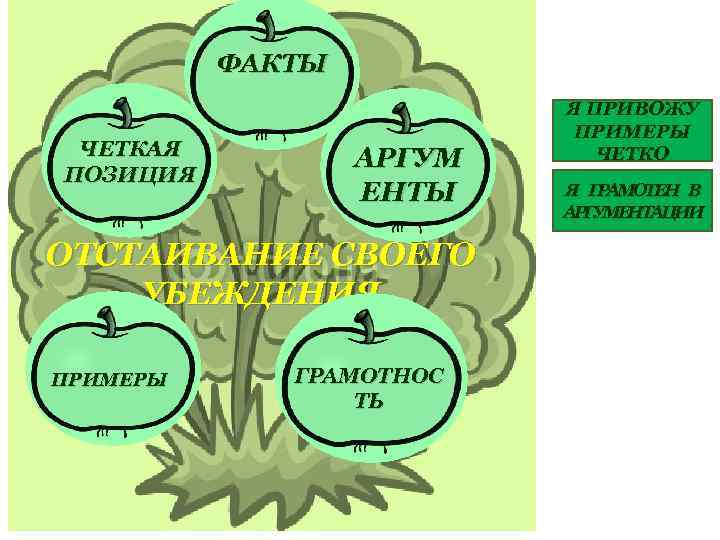 Четкие позиции