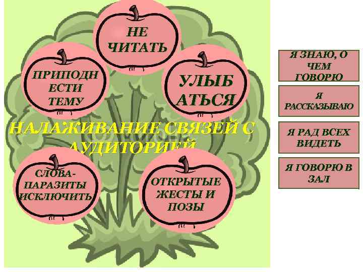 НЕ ЧИТАТЬ ПРИПОДН ЕСТИ ТЕМУ УЛЫБ АТЬСЯ НАЛАЖИВАНИЕ СВЯЗЕЙ С АУДИТОРИЕЙ СЛОВАПАРАЗИТЫ ИСКЛЮЧИТЬ ОТКРЫТЫЕ