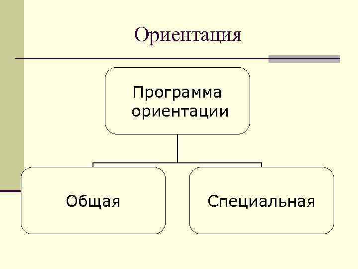 Программа ориентации