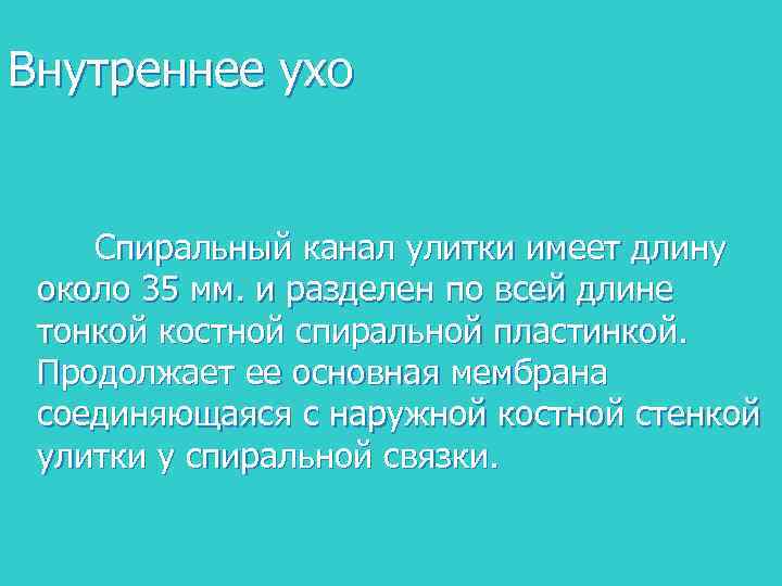 Внутреннее ухо Спиральный канал улитки имеет длину около 35 мм. и разделен по всей