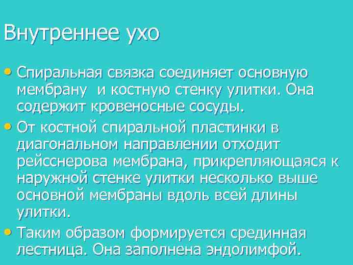 Внутреннее ухо • Спиральная связка соединяет основную мембрану и костную стенку улитки. Она содержит