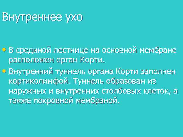 Внутреннее ухо • В срединой лестнице на основной мембране расположен орган Корти. • Внутренний