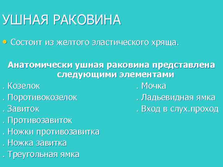 УШНАЯ РАКОВИНА • Состоит из желтого эластического хряща. Анатомически ушная раковина представлена следующими элементами.
