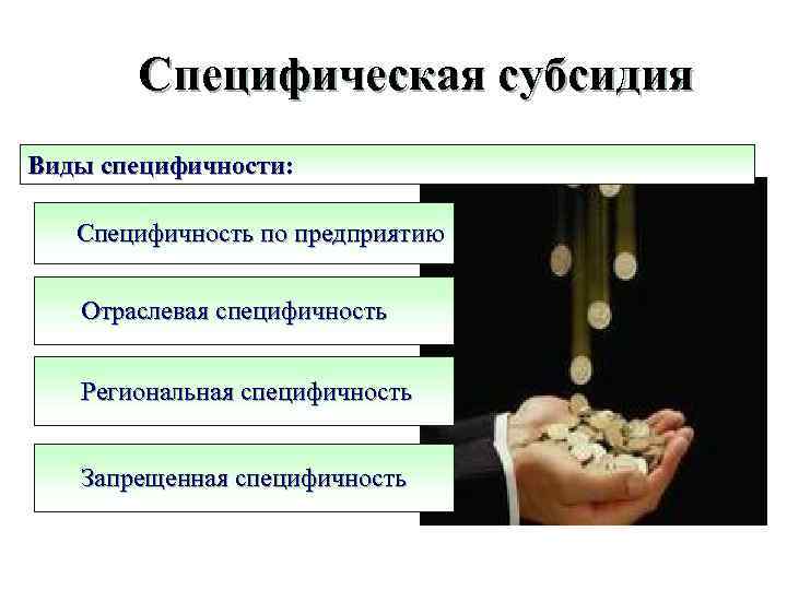 Специфическая субсидия Виды специфичности: Специфичность по предприятию Отраслевая специфичность Региональная специфичность Запрещенная специфичность 