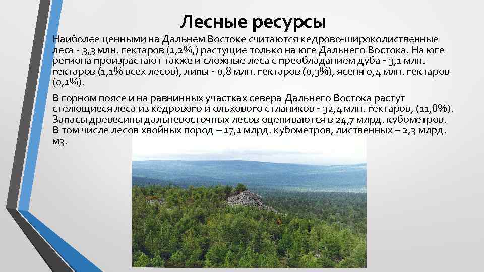 Лесные ресурсы Наиболее ценными на Дальнем Востоке считаются кедрово-широколиственные леса - 3, 3 млн.